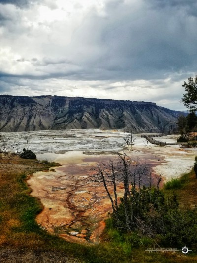 Visiting Yellowstone - Mammoth Hot Springs