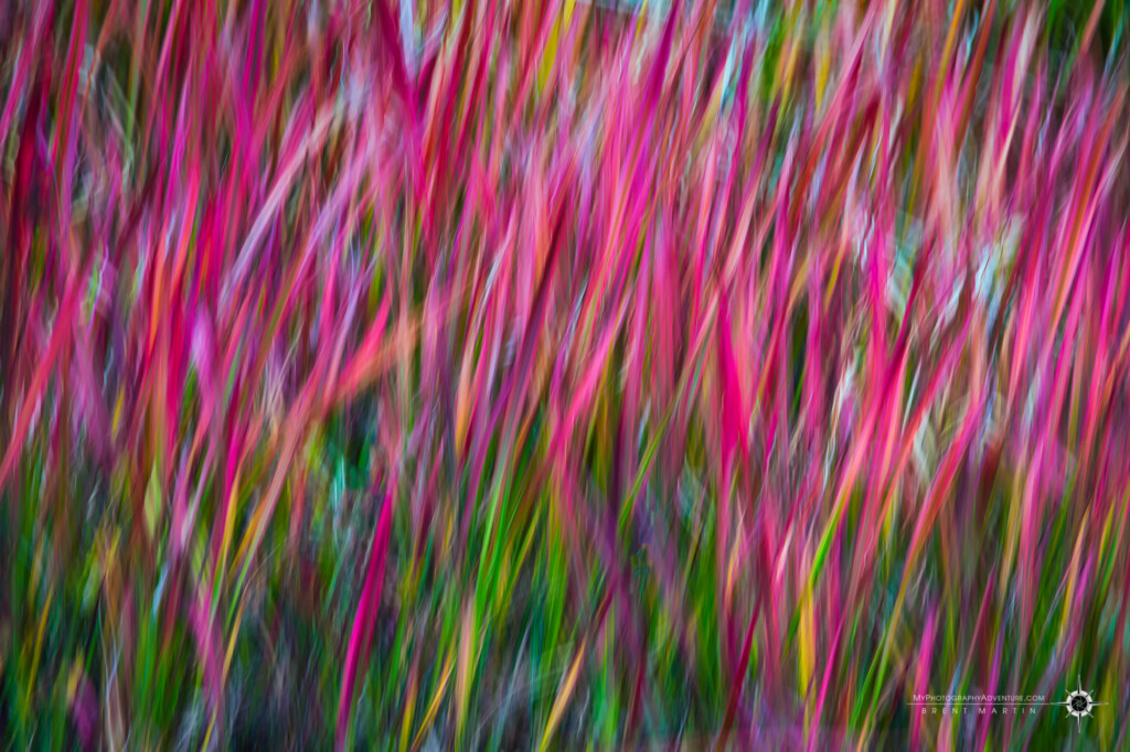 Intentional camera movement panning blur image of autumn grass